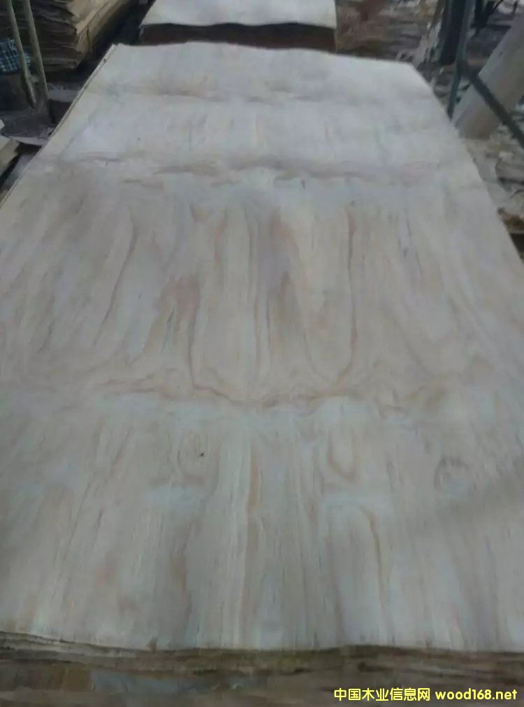 ݗ�����L(zh��ng)�а��Ԕ��(x��)��B