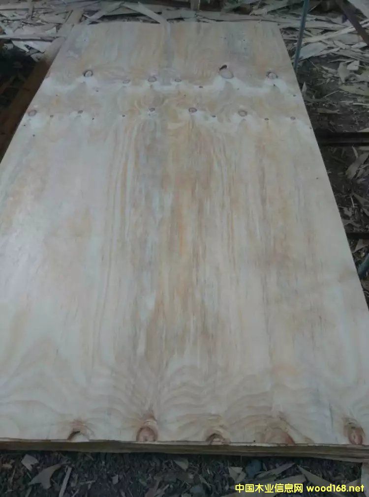 ݗ�����L(zh��ng)�а��Ԕ��(x��)��B