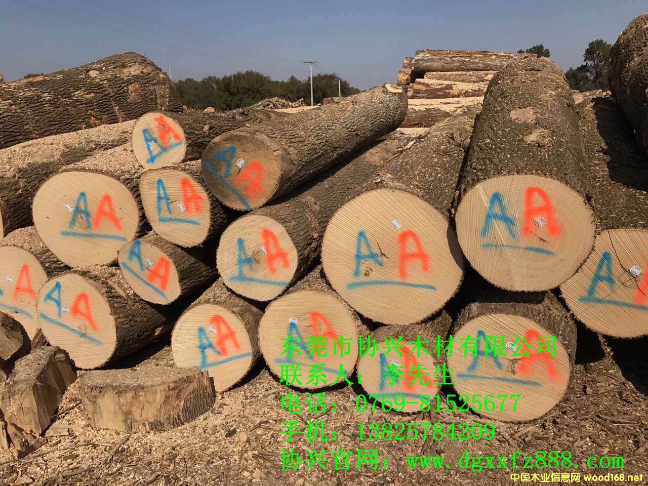 �����M�ڰ�Ϟľ�r��