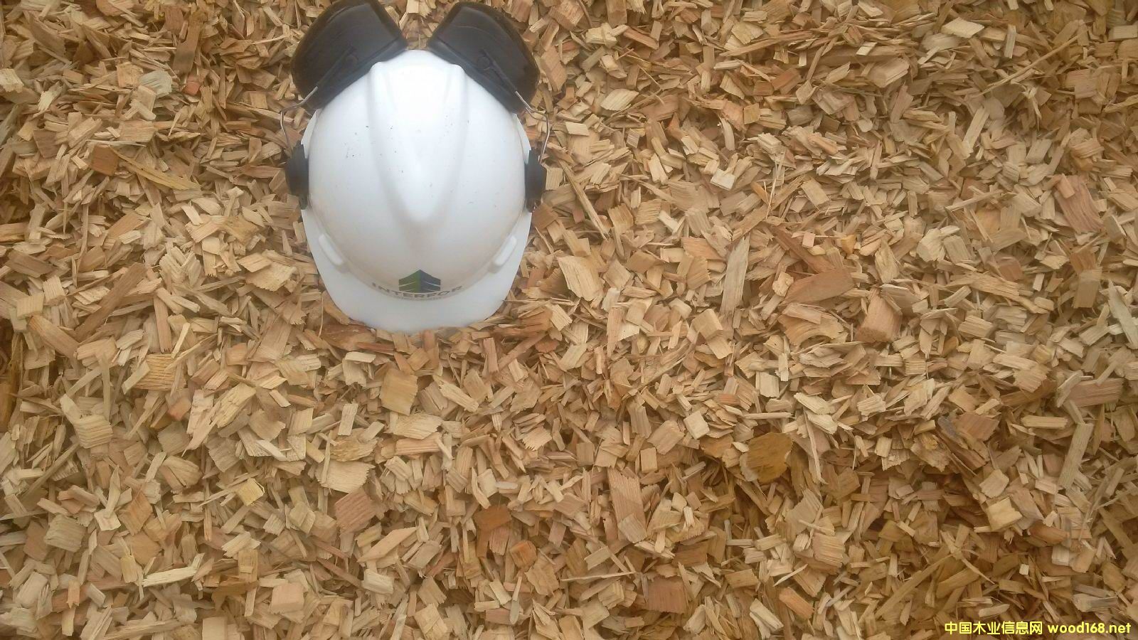 �����M(j��n)��ľƬ