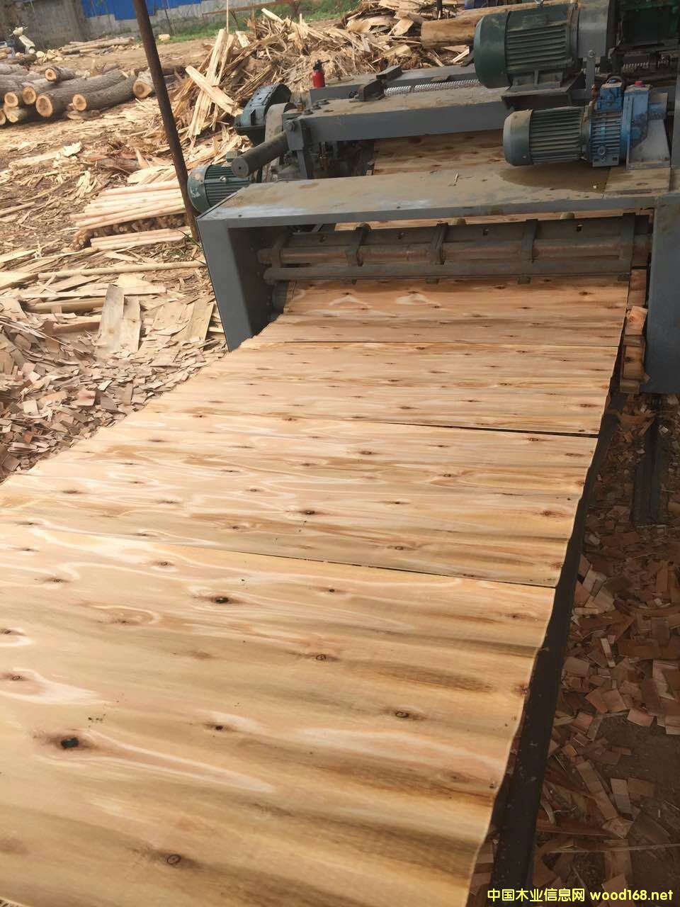 ��ľ�L�а�