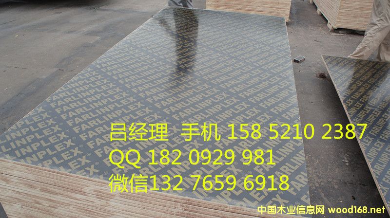 ���Οቺ������ɫ��ĸ���̘�����Ĥ���Ӱ��Ԕ��(x��)��B