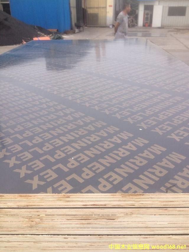 20mm 15���ɫ��Ĥ���Ӱ��Ԕ��(x��)��B