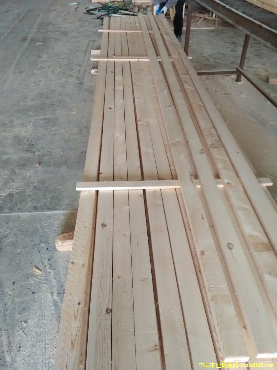 ���^�n�ӗl