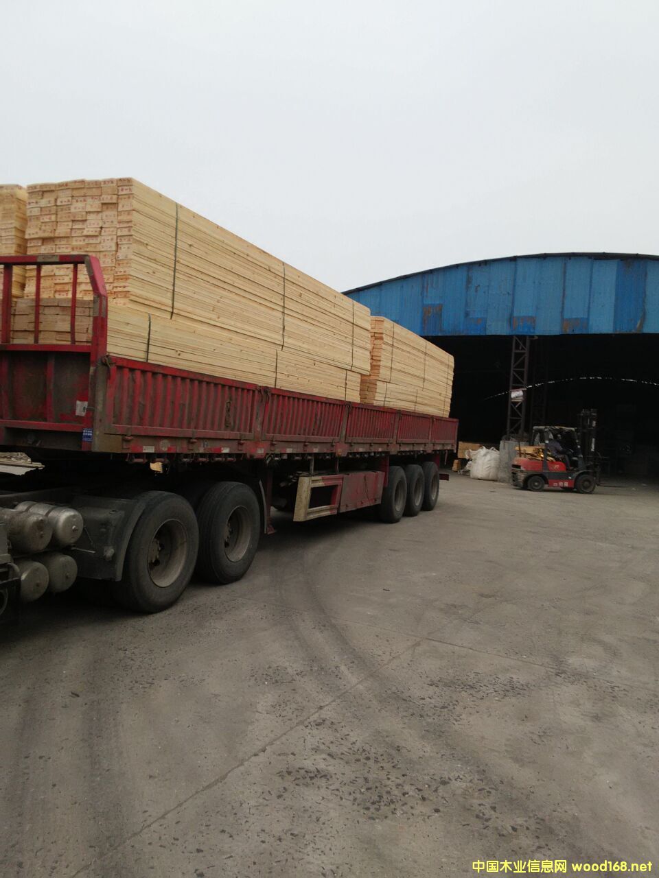 ���S��(sh��)��