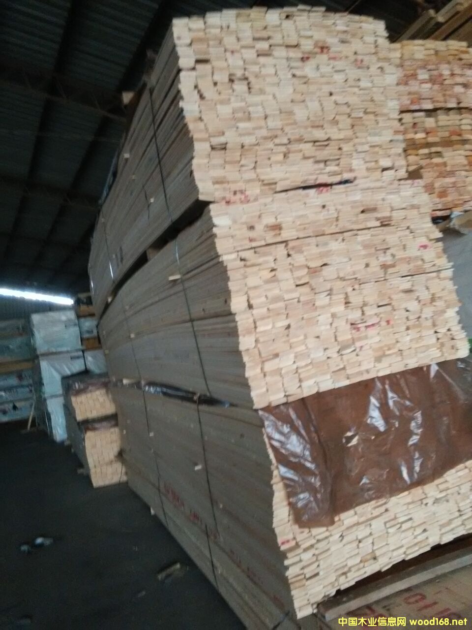 ��ľ����l