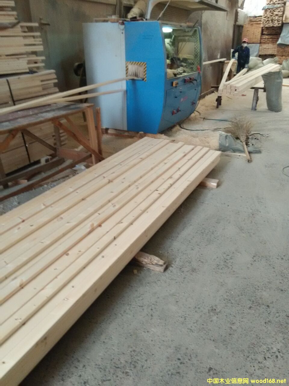 ��ľ���n��