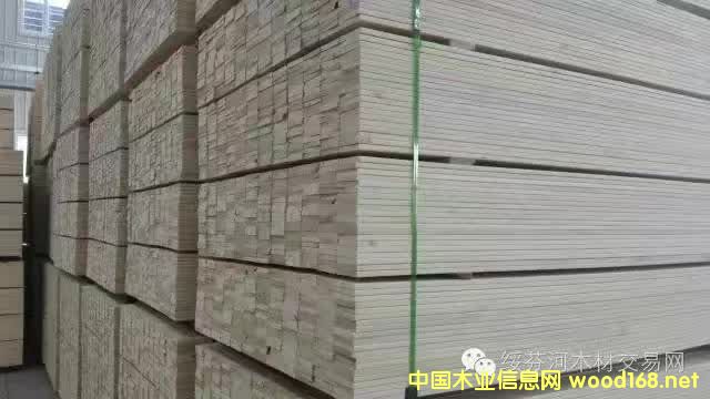 �~(y��)�[���ٹⴲ��