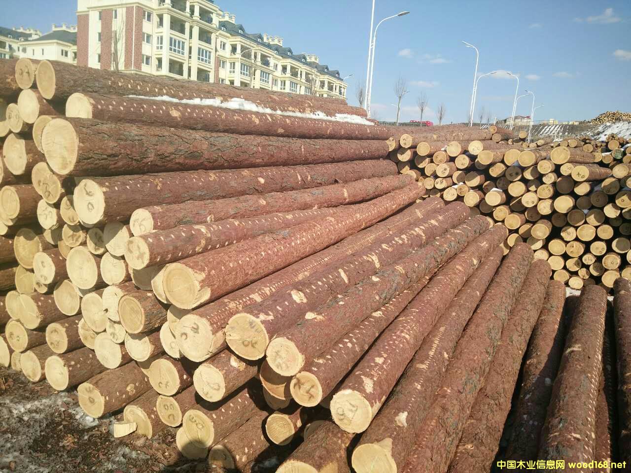 ���~�ɈAľ����