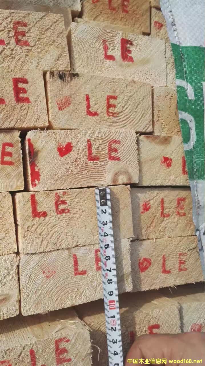 ���_˹������