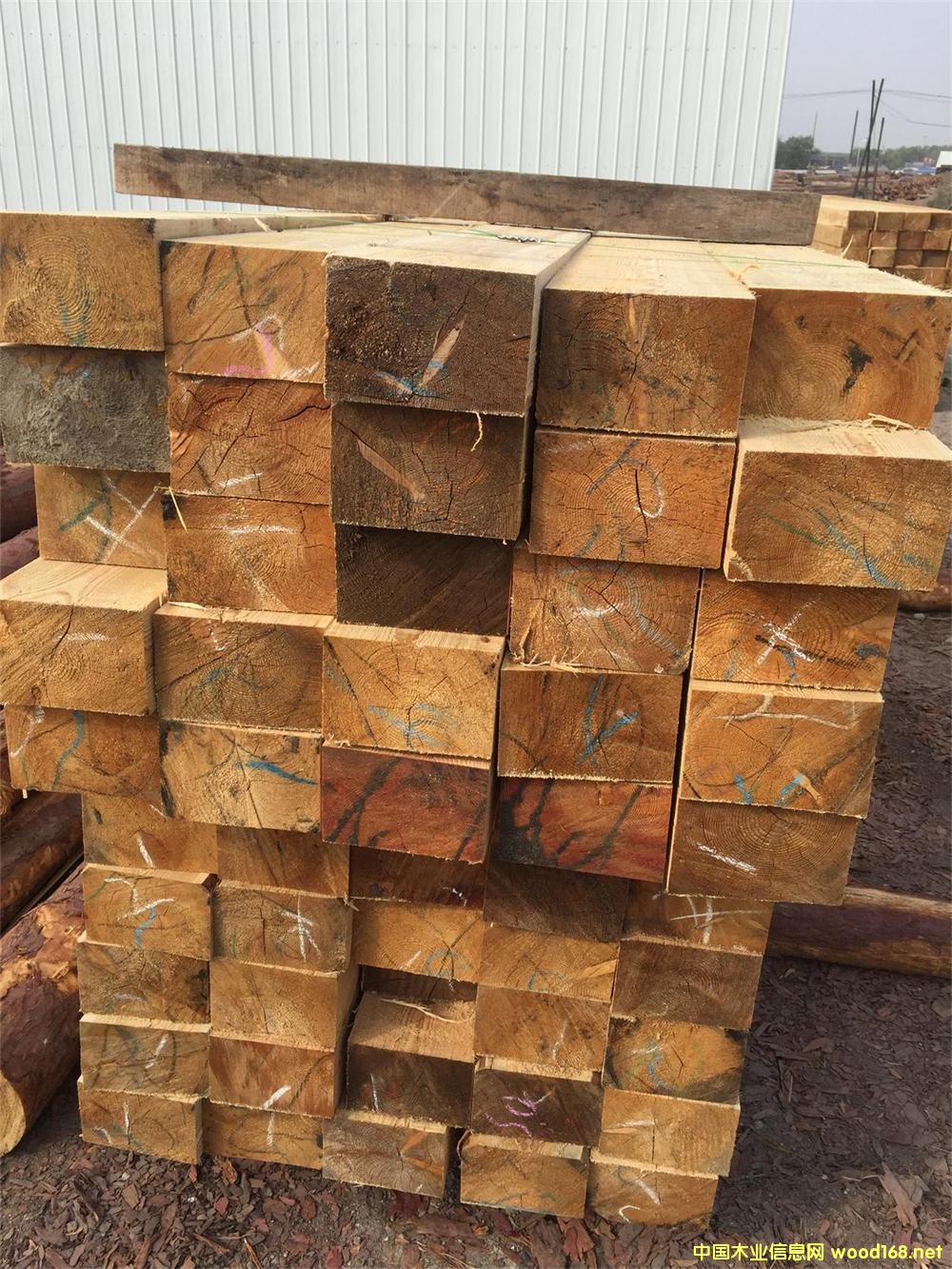 ���~�� ��ľ