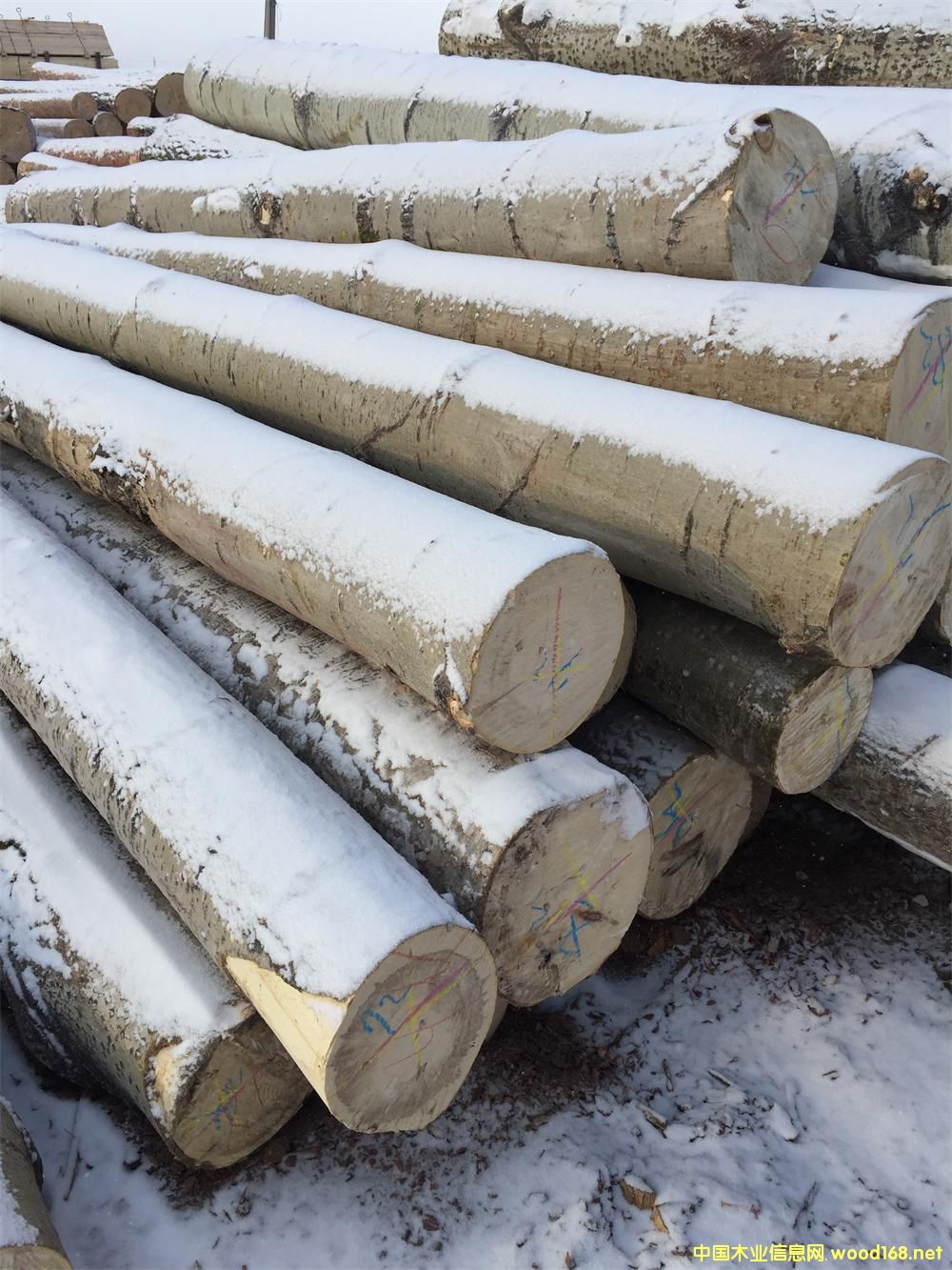 ��ľ4��6��ԭľ