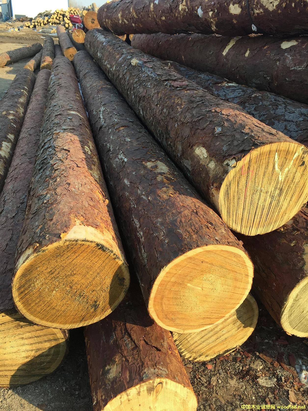 ���_˹�M(j��n)�����~��ԭľ����(j��)30����