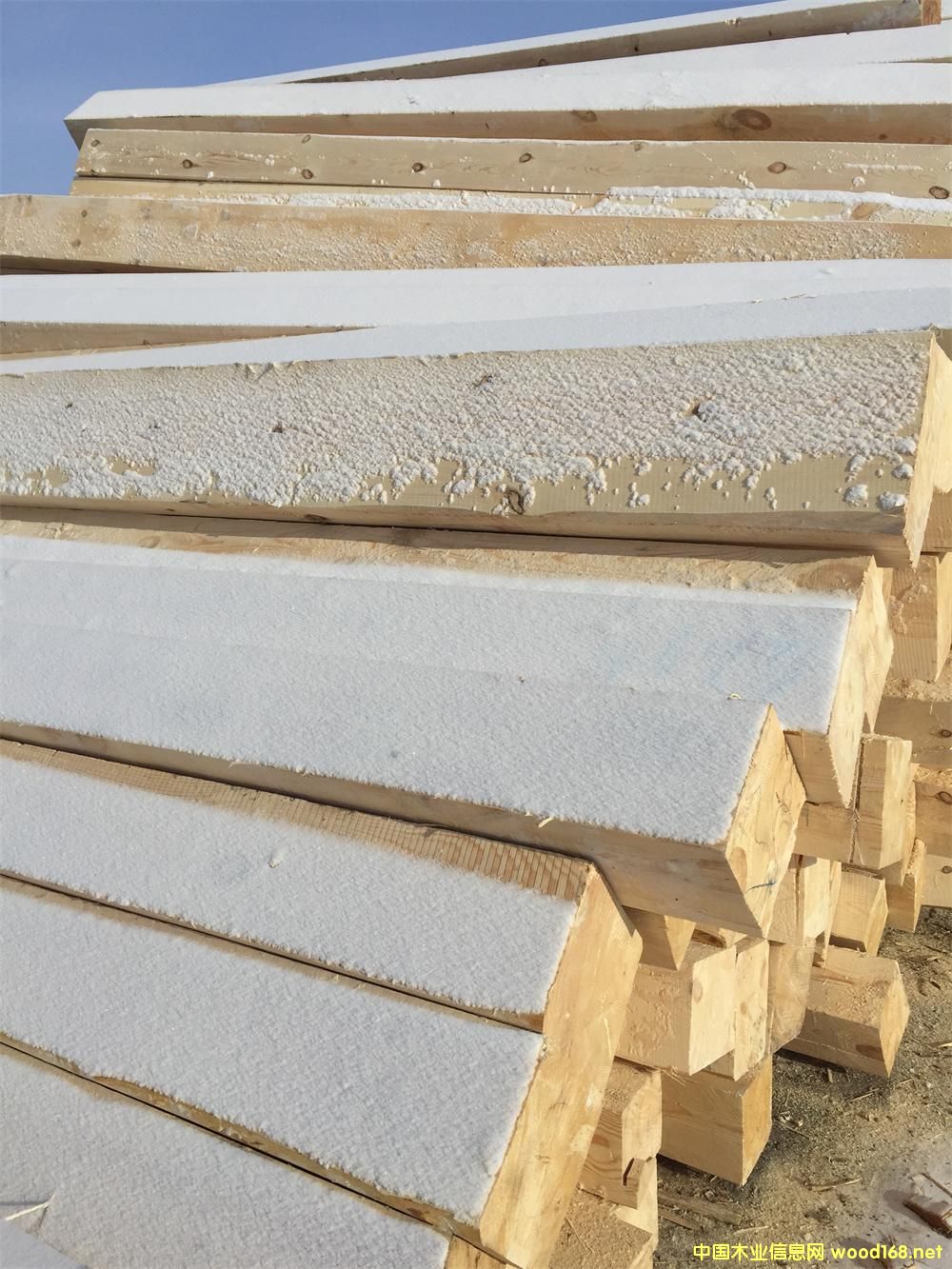 ������100��200��6000��ľ