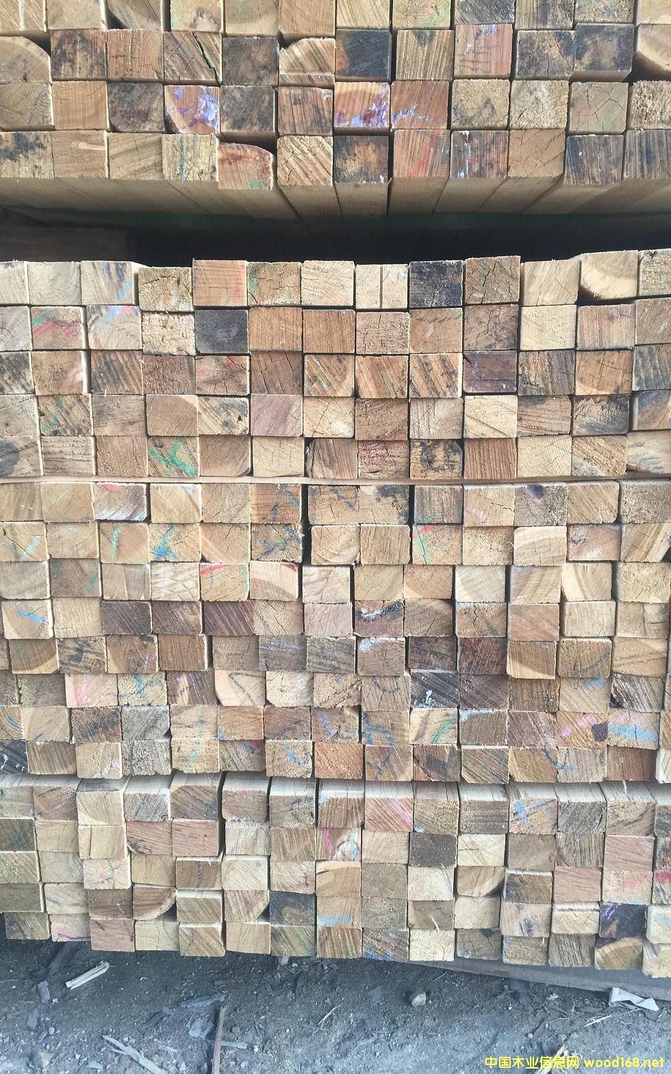 ���_˹�M�����~�� ��ľ40*60*4000