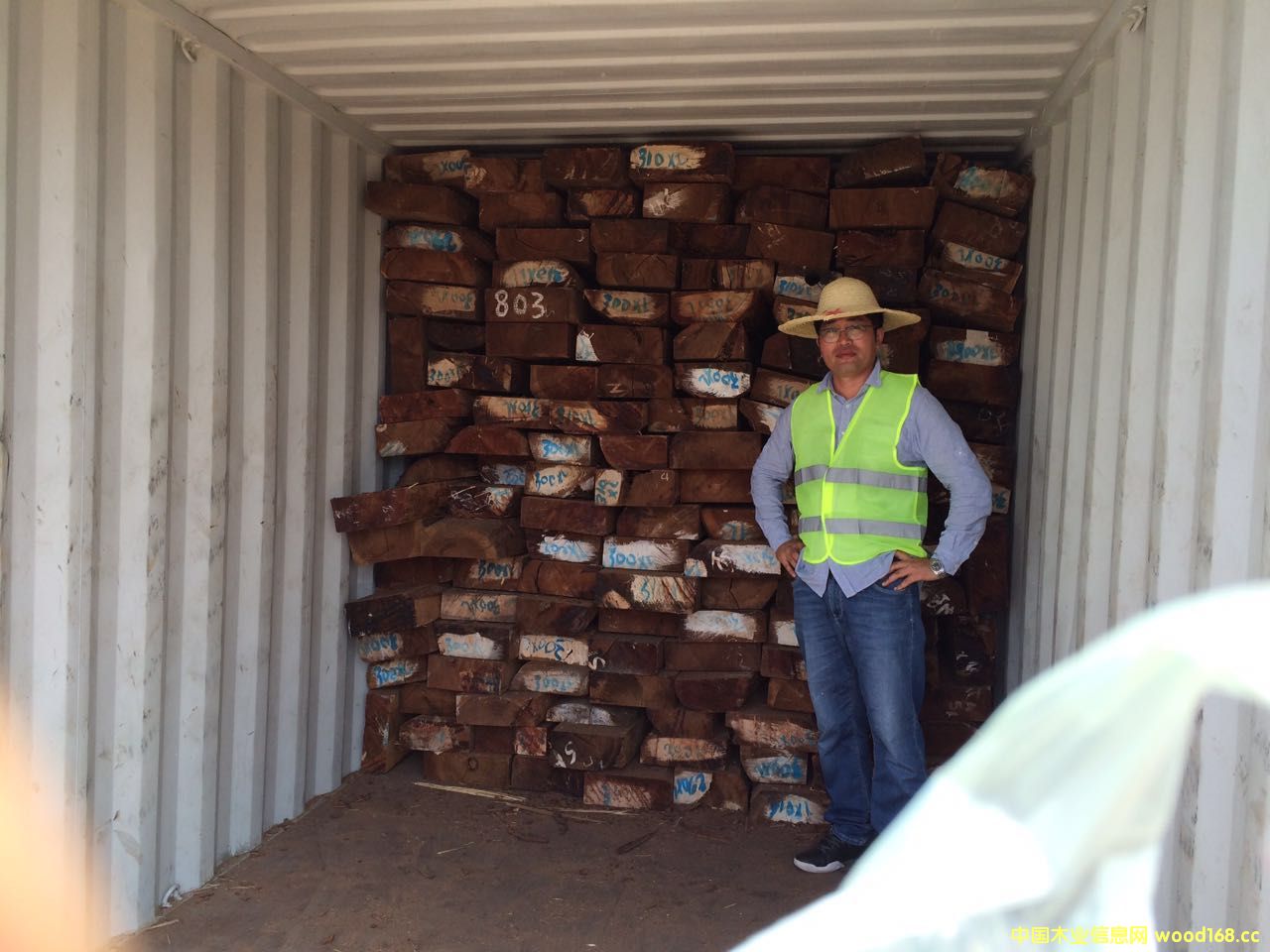 �t���޻���