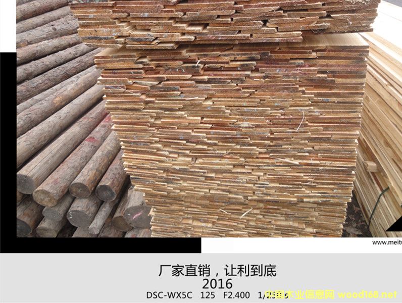 ���_˹���~��