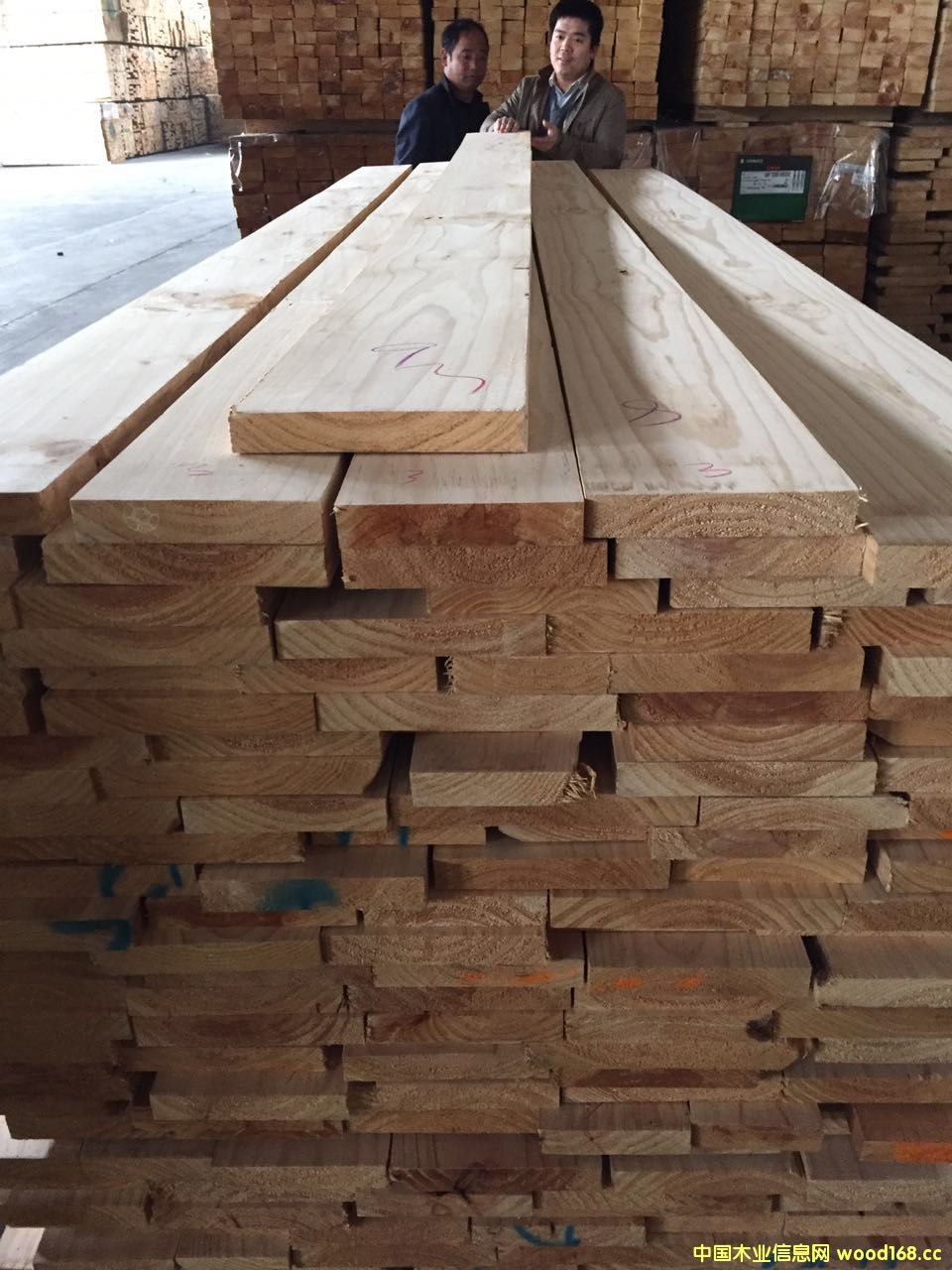 ݗ���Ɇ��湝(ji��)