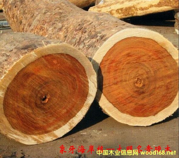 ľ�Ę�NԔ��--����������ľ