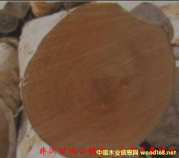 ľ�Ę�NԔ��--���޸ʱ�ɽ��ľ  �������׺���