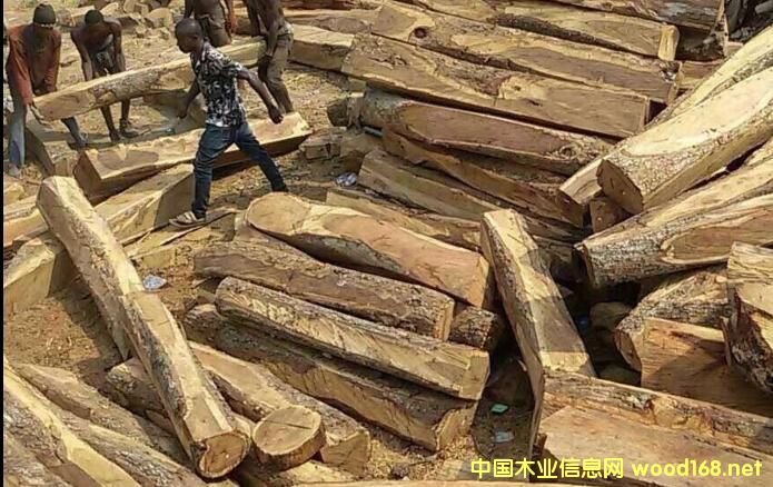 �tľԭ�Ĕ�(sh��)���J�p�r�񯂝q �Ҿ���I(y��)��Α�(y��ng)����