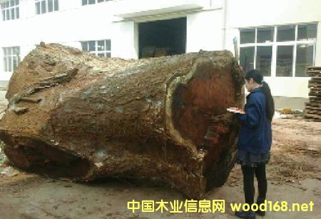 ľ���Ј���N�����İl(f��)չ�C(j��)�����Ј�څ��