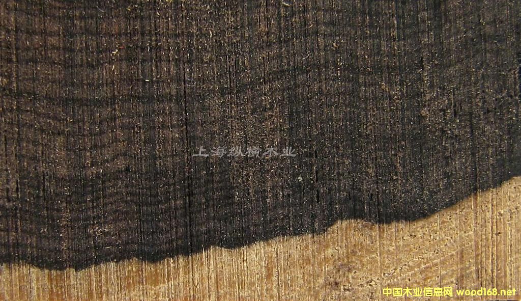 �tľ�òļ������|�Ǻ��S̴�ă�(y��u)ȱ�c