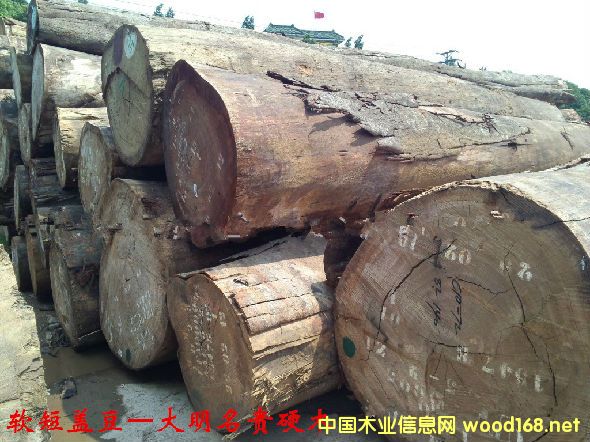 ľ�Ę�NԔ��--ܛ���w��ľ  �׷Q���Sõ������zľ