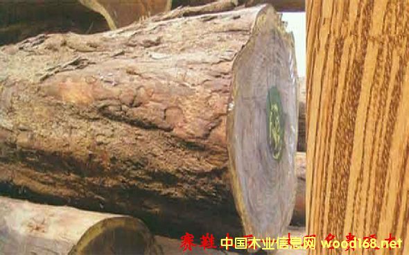 ľ�Ę�NԔ��--ِЬľ��  �׷Q��С���R��ؐ��