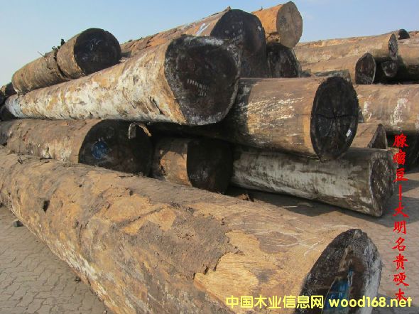 ľ�Ę�NԔ��--������  �׷Q������R������R