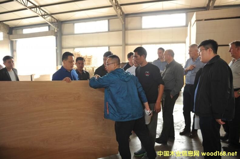 �R�ʸ��R��ľ�I(y��)�����L������W�޴���F(tu��n)��B��˾��(y��u)��