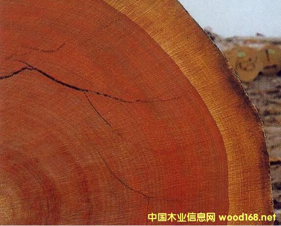 ���H��(li��n)��(b��o)�棺ȫ��딵(sh��)�Ƿ�ľ��������ӡ �������W����