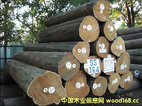 ��ľ�Ј����m(x��)���أ��M(j��n)�����������L