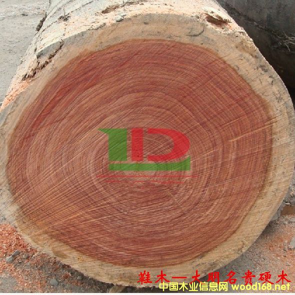 ľ�Ę�(sh��)�NԔ��--Ьľ  �׷Q���tõ����õ����Rľ���t��ľ