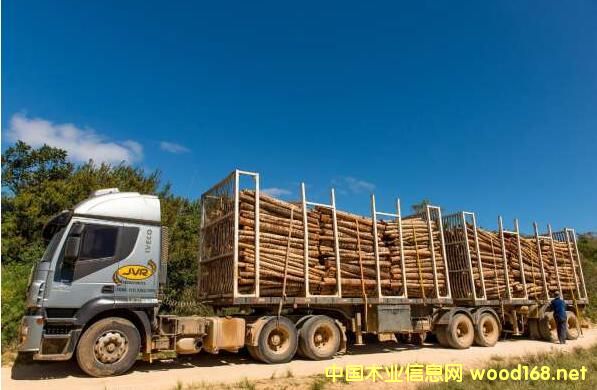 ����ԭľ--�� (�̻�)(���G)����˼�䣩