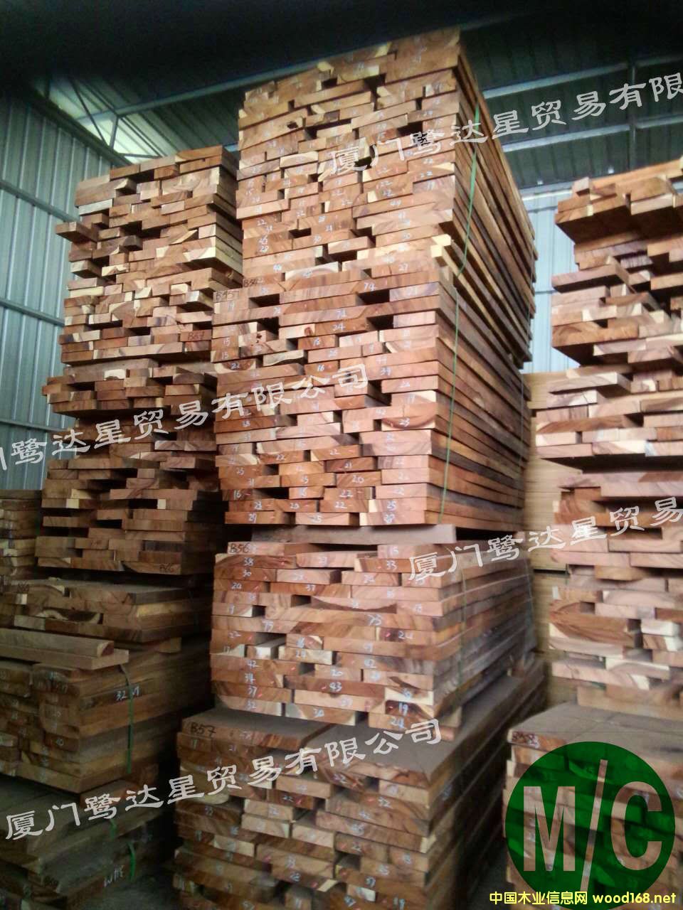 ��������ľ-b1