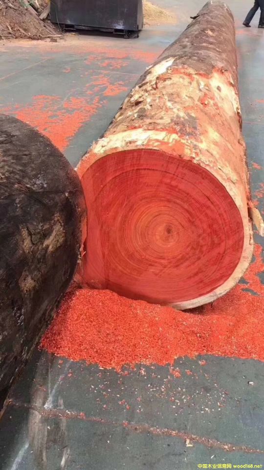 �t������������̴��Ԕ��(x��)��B