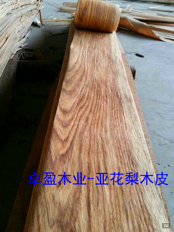 �����̴0.3MMľƤ��Ԕ��(x��)��B