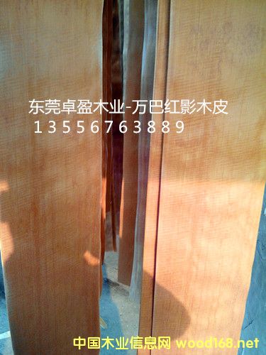 �tӰľƤ10�z��20�z��30�z��Ԕ��(x��)��B