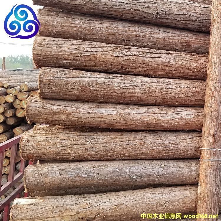 ľ����Ԕ��(x��)��B