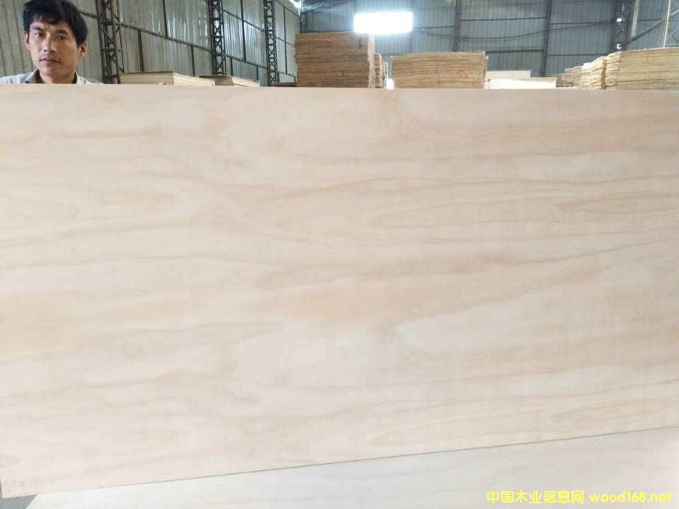 ��ľ�z�ϰ�