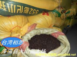 �_����˼�N��