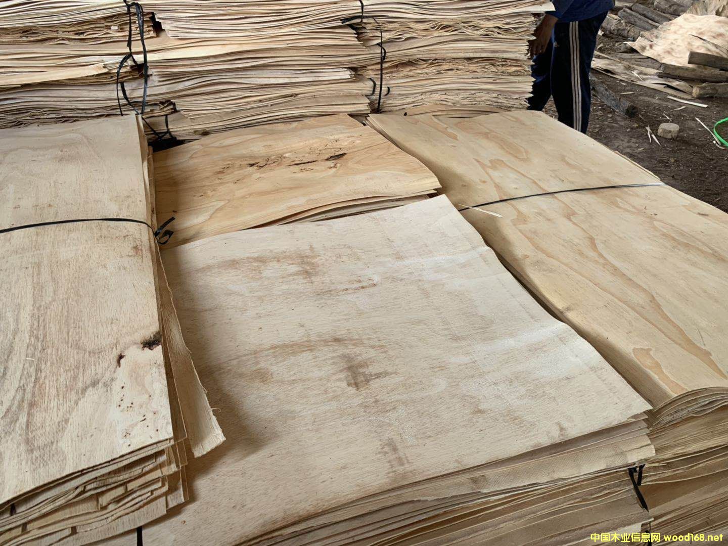 ���zľ�A��Ƥ��Ԕ��(x��)��B