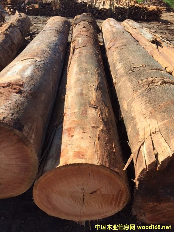 ����õ����ľ