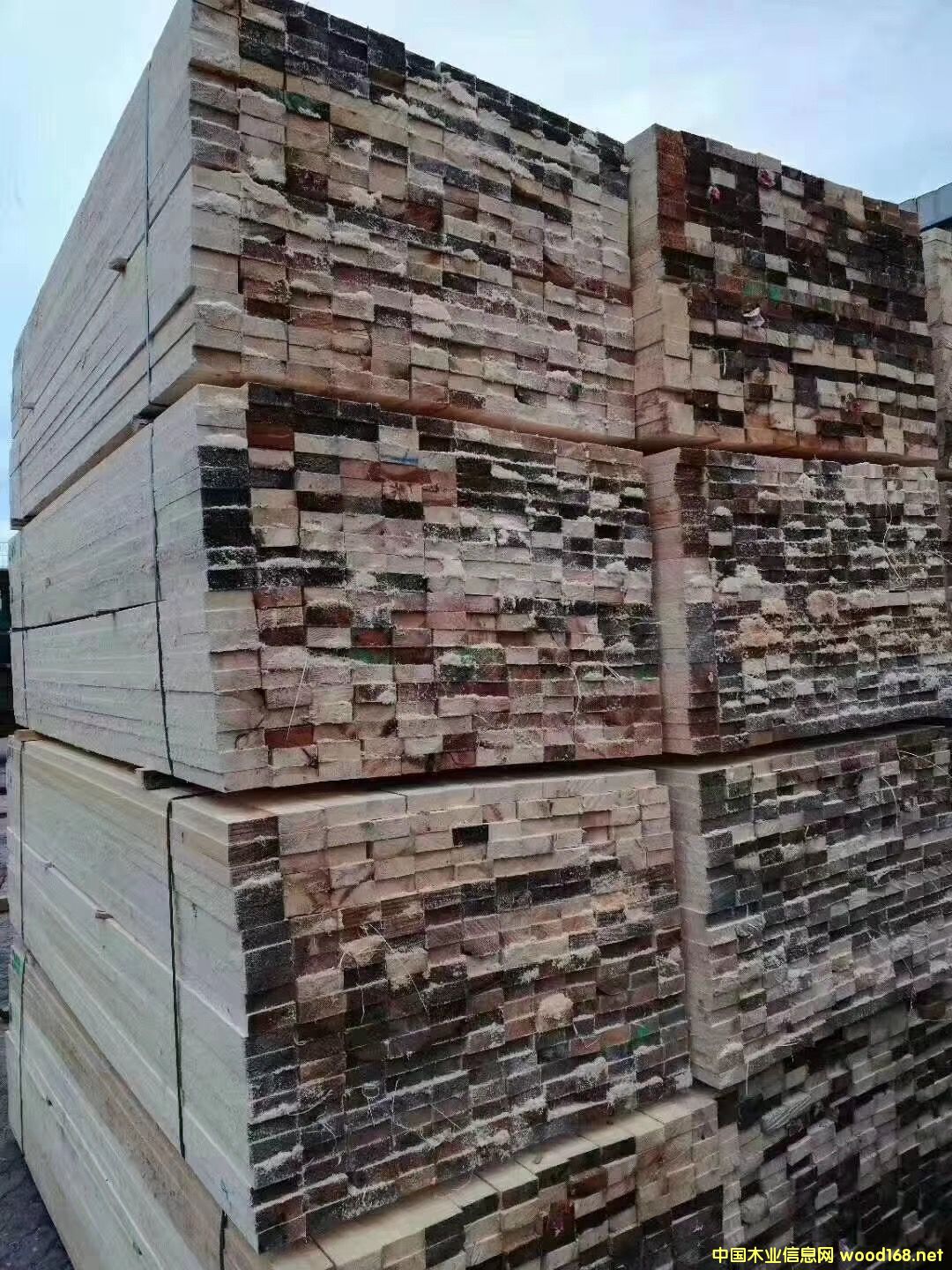 ���ɵ�Ԕ��(x��)��B