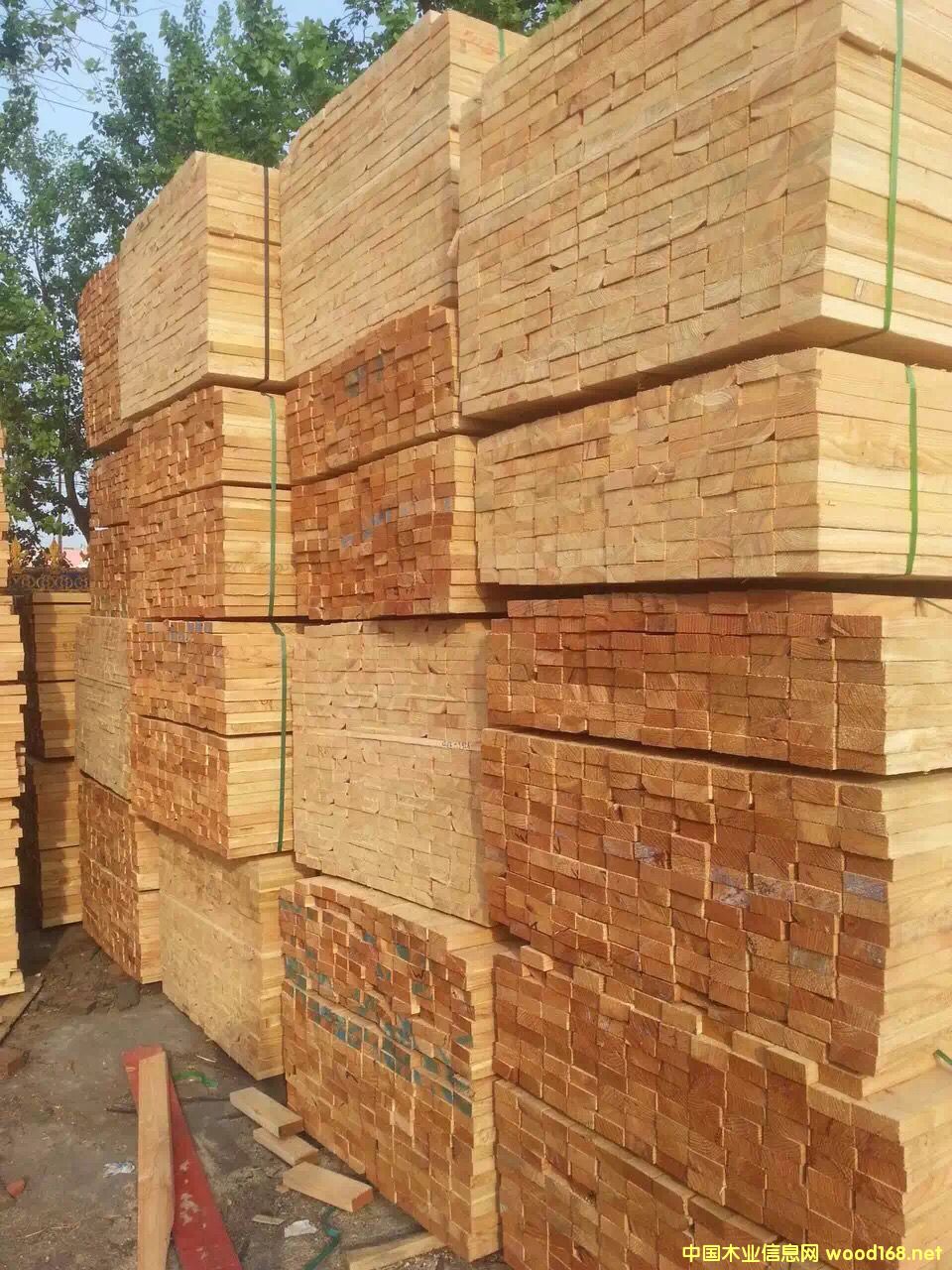 ������ľ��Ԕ��(x��)��B