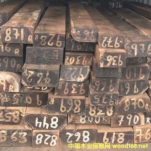 �t��֦��Ԕ����B