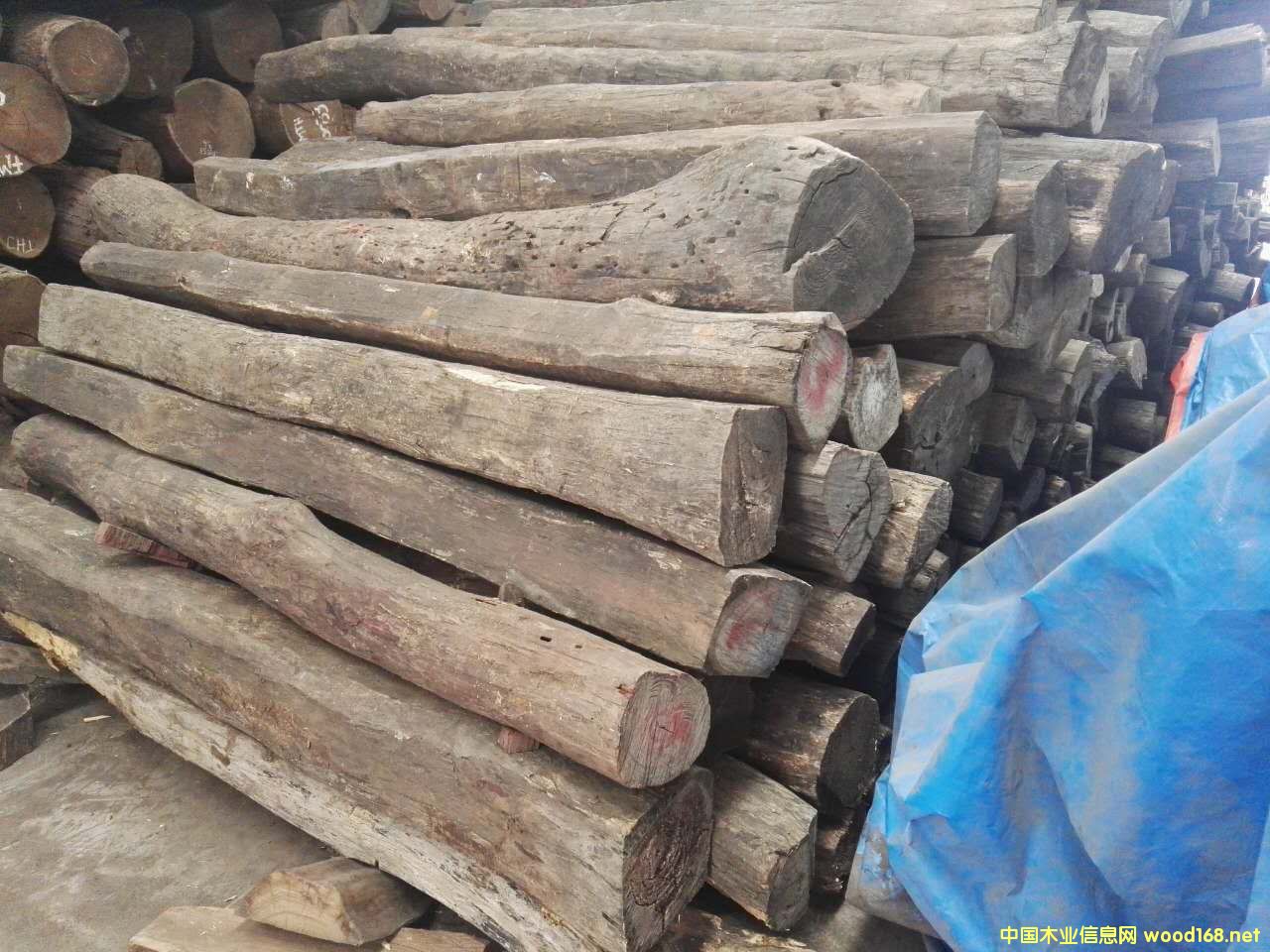 �c(di��n)���鿴�W���S̴�Ŵ�DƬ