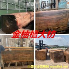 [��] ����̴