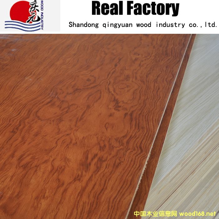 �h(hu��n)����(sh��)ľ��о��